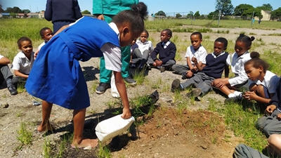 Greening up primary schools and youth centres