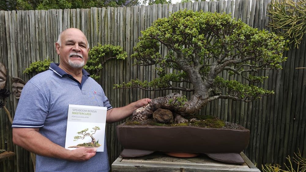 Creating bonsai 'is like composing music' | George Herald