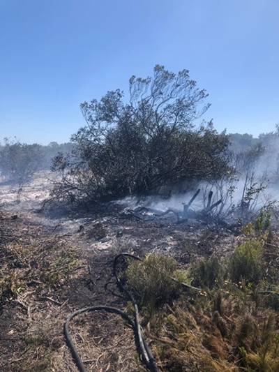 Veldbrand vinnig onder beheer gebring