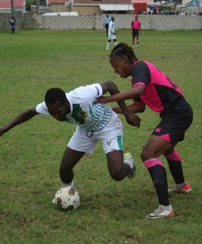Oriented Birds fly at Kwano