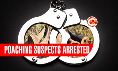 5 alleged rhino poachers arrested in the Kruger National Park