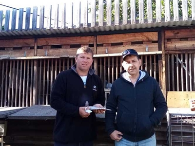 Prysgeld rol in veilingswedvlug