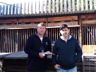 Prysgeld rol in veilingswedvlug