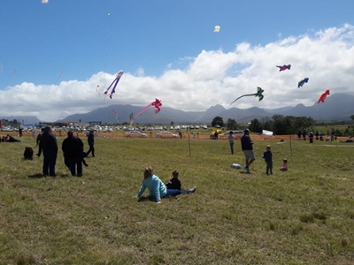 Windy weather perfect for Kite Festival