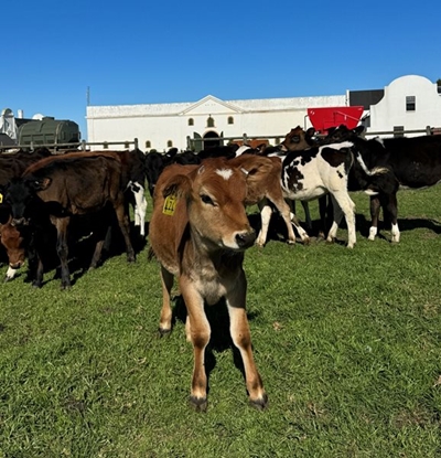 Rage mooving on up