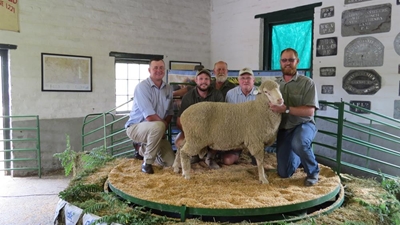 Auction yields an average of R8 600