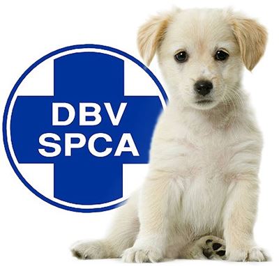 Increase in theft of dogs