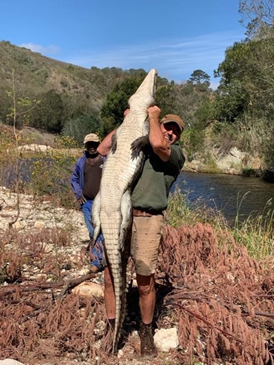 Onverwagse besoeker in Gouritzrivier