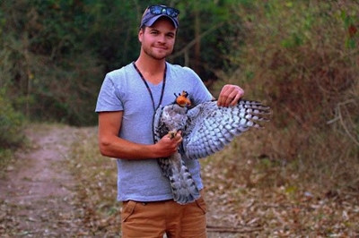 Art exhibition will excite bird lovers