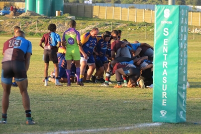 Seagulls pak Harlequins in Melkies