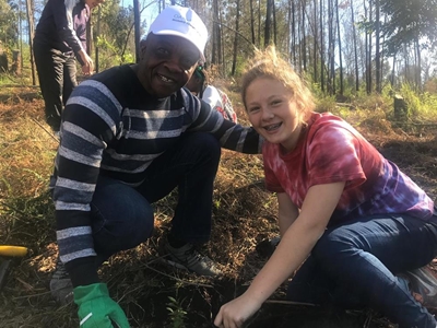 50 trees for 50 years of theatre 