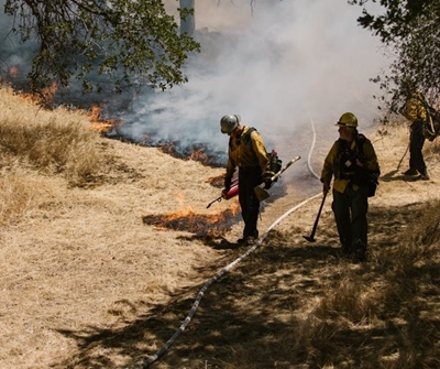 Garden Route Wildfires Update