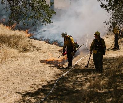 Garden Route Wildfires Update