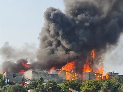 Rising up from the ashes