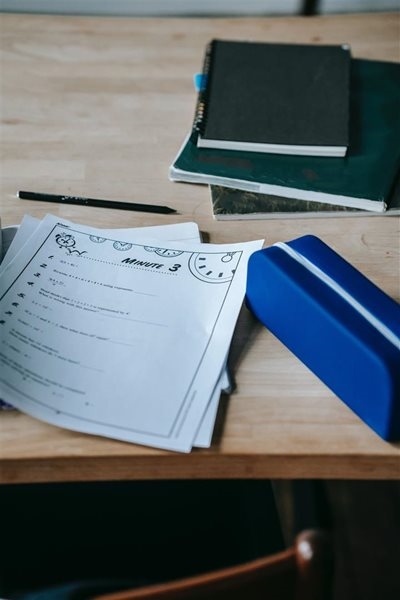 Grade 12 survival guide: Practical advice for students & parents