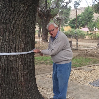 Historic tree commemorated 