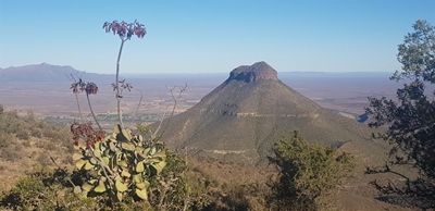 Nature pic of the week