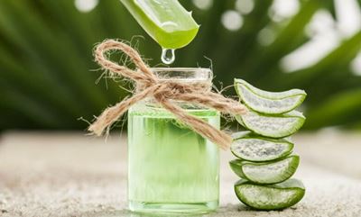 Benefits of tissue oils in winter