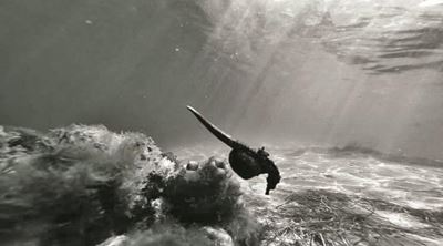 Knysna seahorse alive and well in Keurbooms