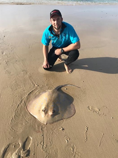 Knysna-hengelaars kraai weer koning