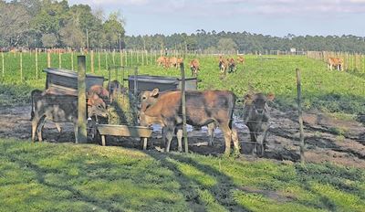 Plaaslike boere skerp biosekuriteit op