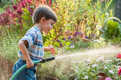What are your rental rights during the water crisis?