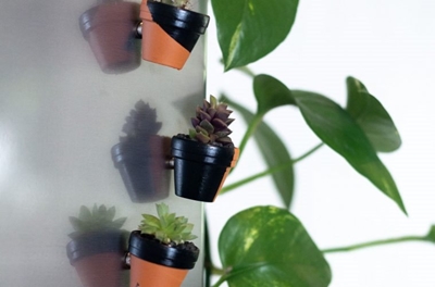 DIY adorable succulent fridge magnets - from real plants