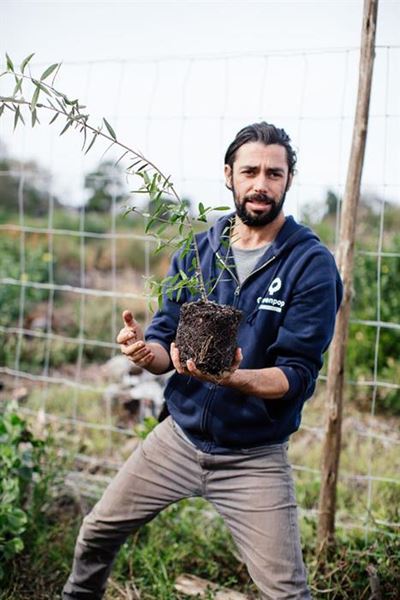 Replenishing a burnt-out Plett with 300 trees
