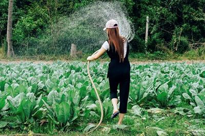 Cost-effective irrigation