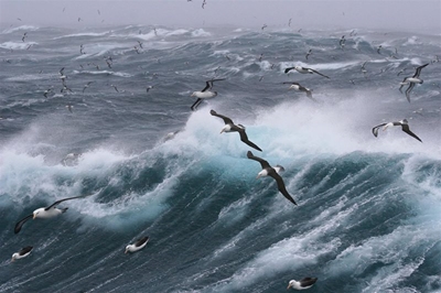 Weather warning: Damaging waves