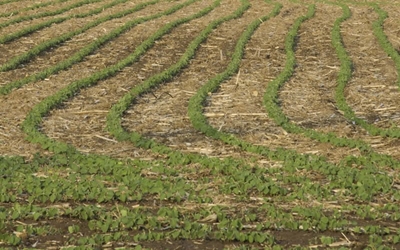 Switching to no-till? Restore degraded soil first!