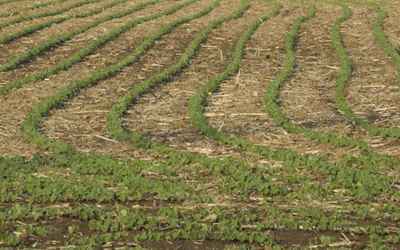 Switching to no-till? Restore degraded soil first!