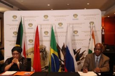 BRICS urged to work collectively in global food, fuel crisis