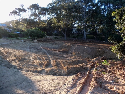 Vintcent Park: sand dumped, trees at risk