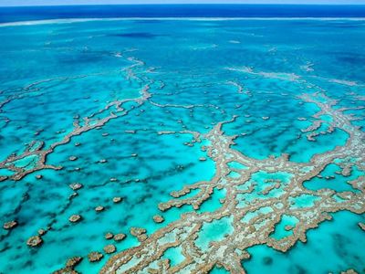 Australia approves vast coal mine near Great Barrier Reef