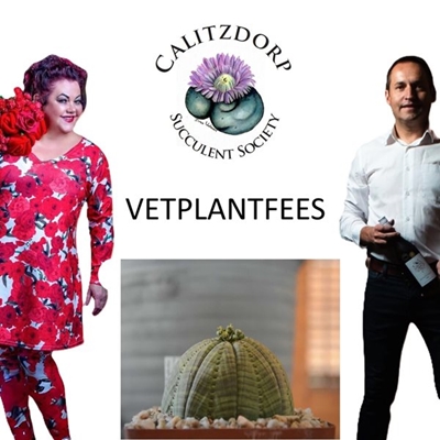 All things succulent at Calitzdorp's Vetplantfees