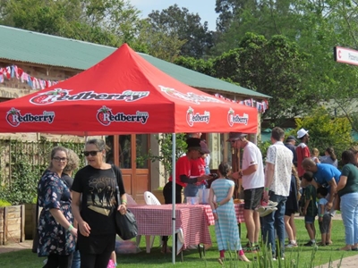 Strawberry Festival in full swing