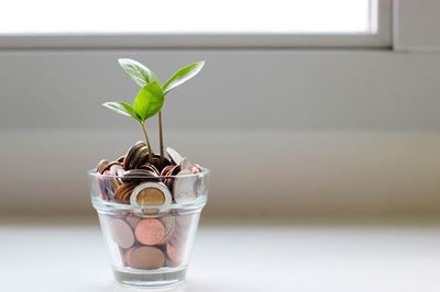 Investment basics for children