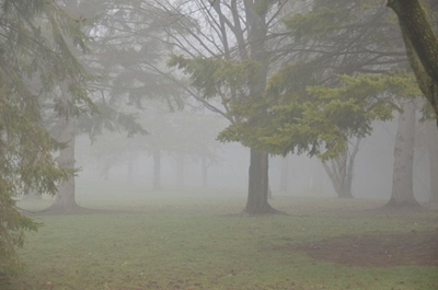 Weather: Light rain and misty conditions on Monday 8 September