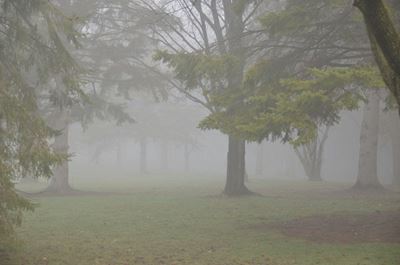 Weather: Light rain and misty conditions on Monday 8 September