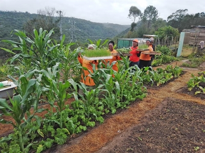 Sowing seeds of hope