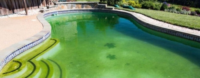 Dress up your home's exterior