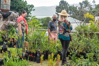 Third plant sale a success