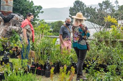 Third plant sale a success