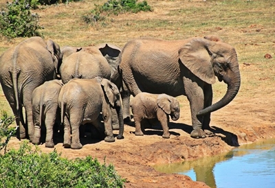 Kruger Park region loses R1m after horror hijacking attempt