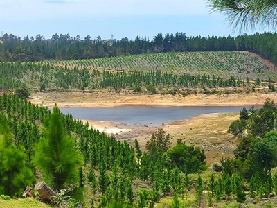 Knysna races to avert day zero