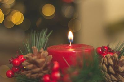 Festive Christmas Night Market at Botanical Garden on Friday