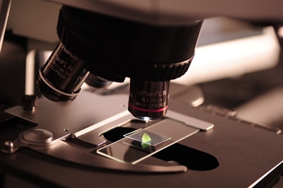 Youth encouraged to pursue science