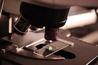 Youth encouraged to pursue science