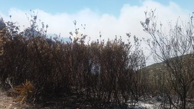 Status of George fires